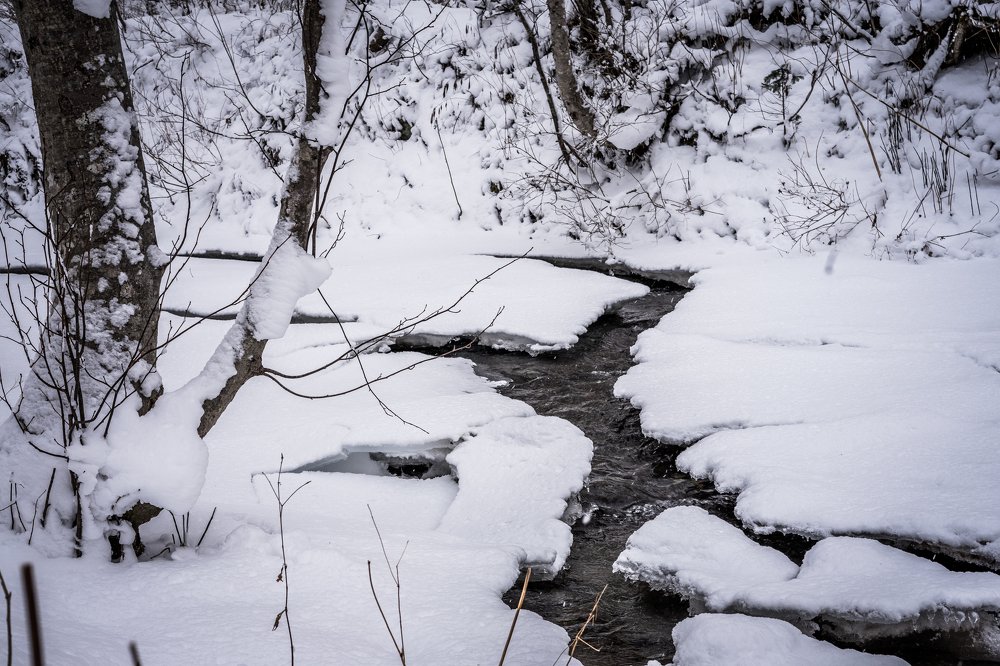 Photograph by Константин Пинигин