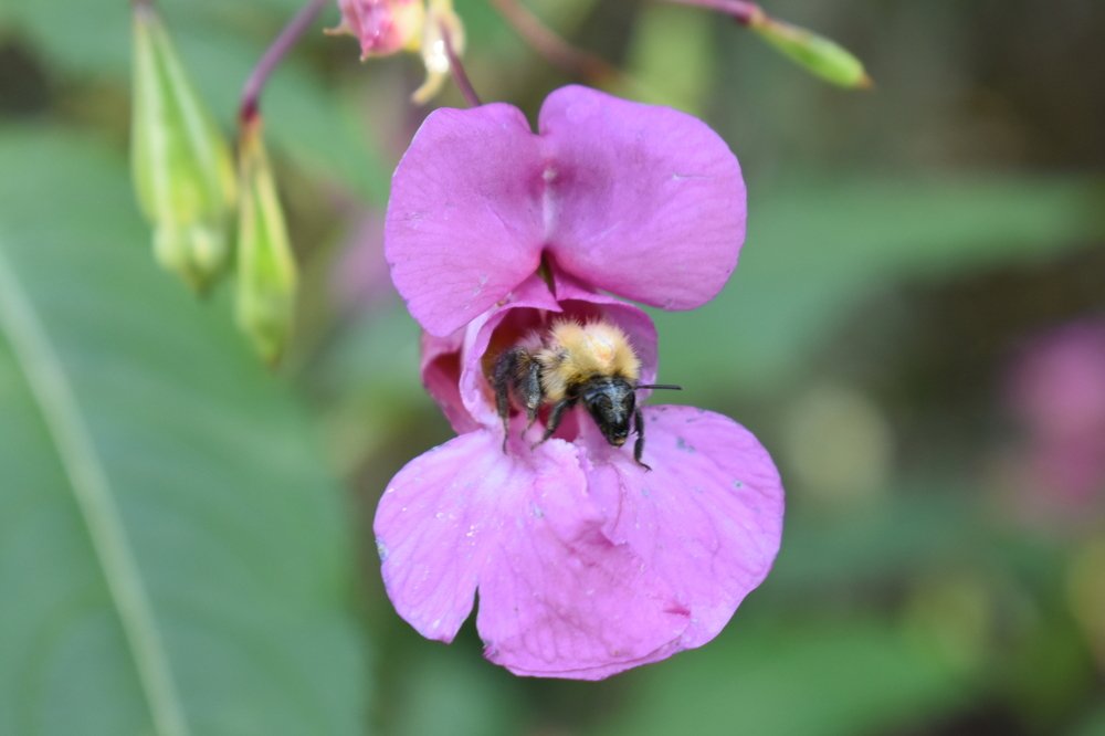 Photograph by Александр Прядко