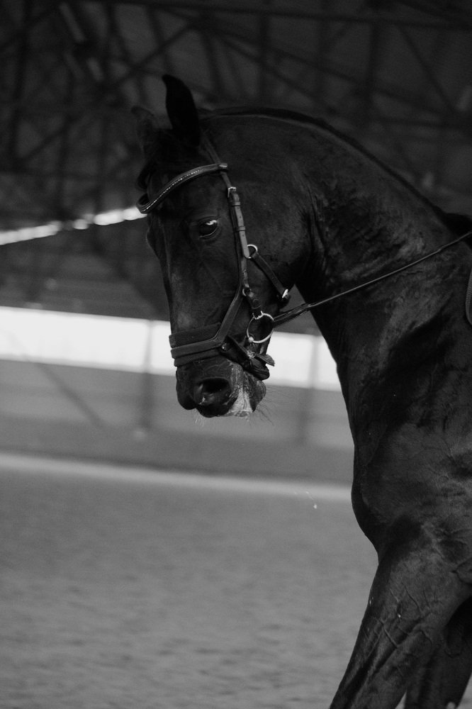 Photograph by Анастасия