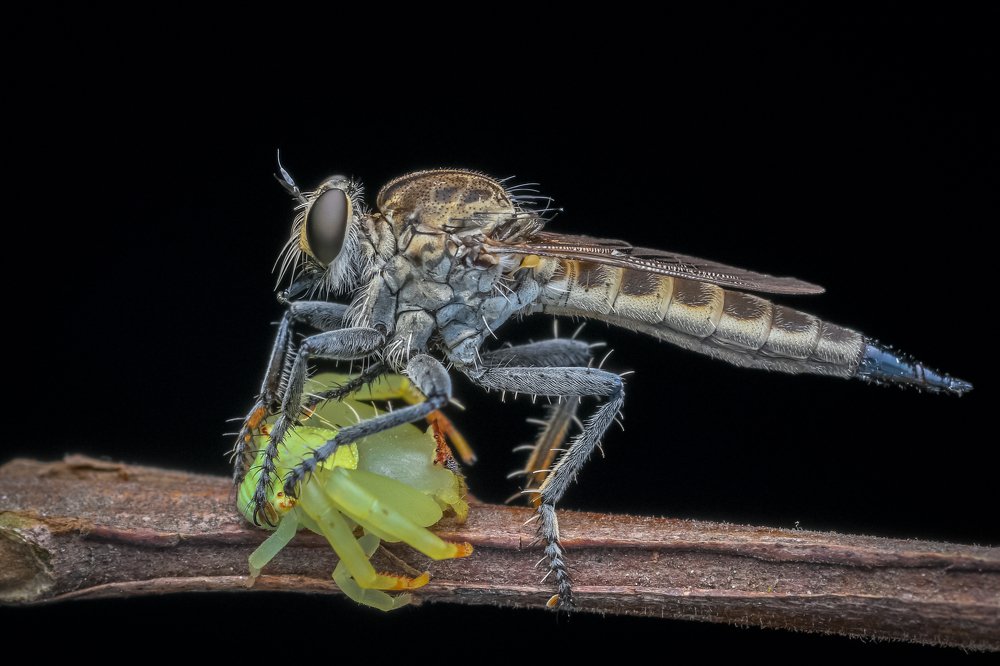 Photograph by Subhra Mandal