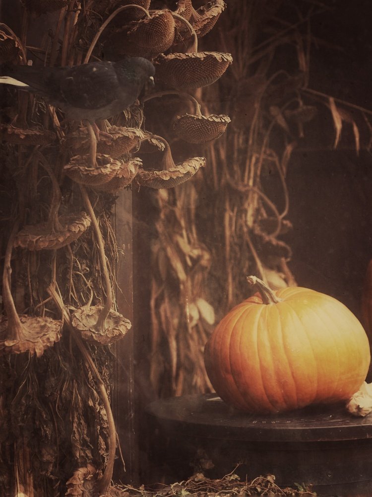 Photograph by Elena Starodvorskaya