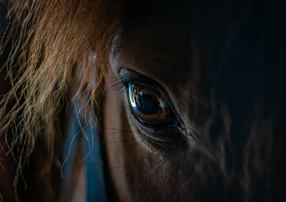 Photograph by Пётр Чирков