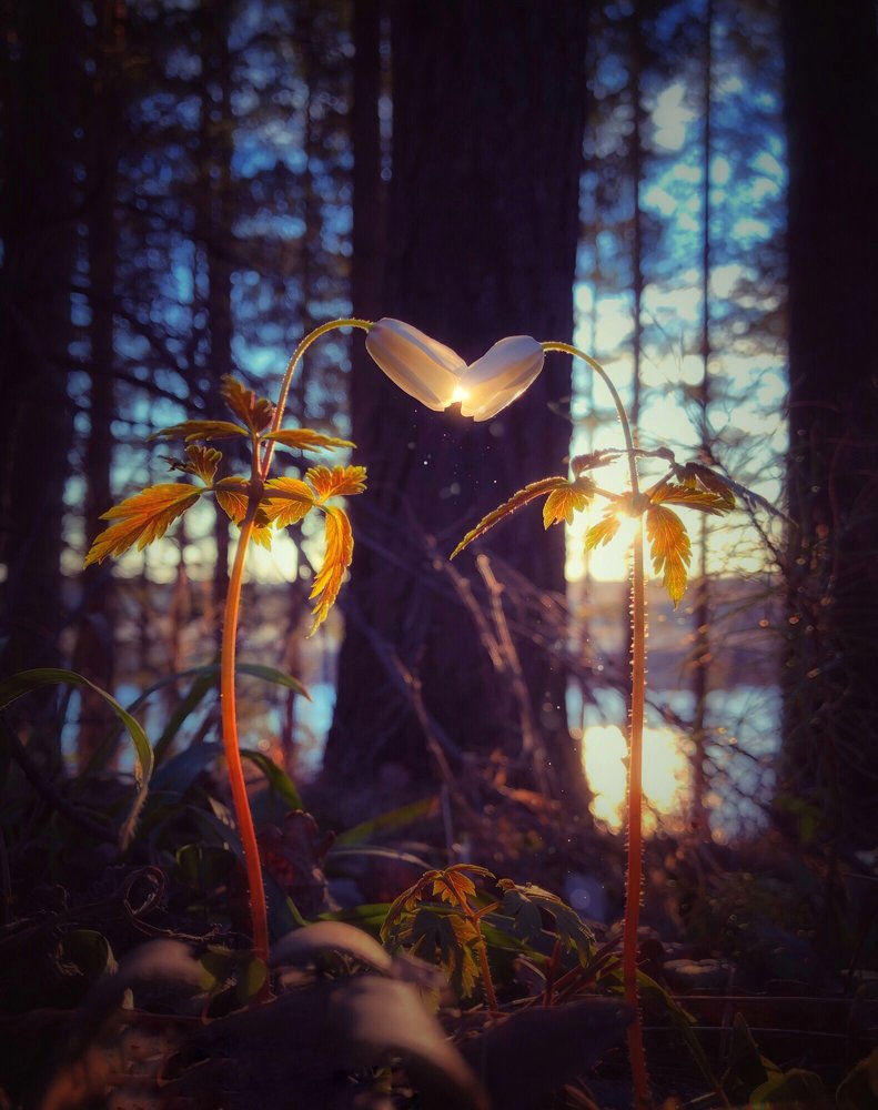 Photograph by Валентина Старикова