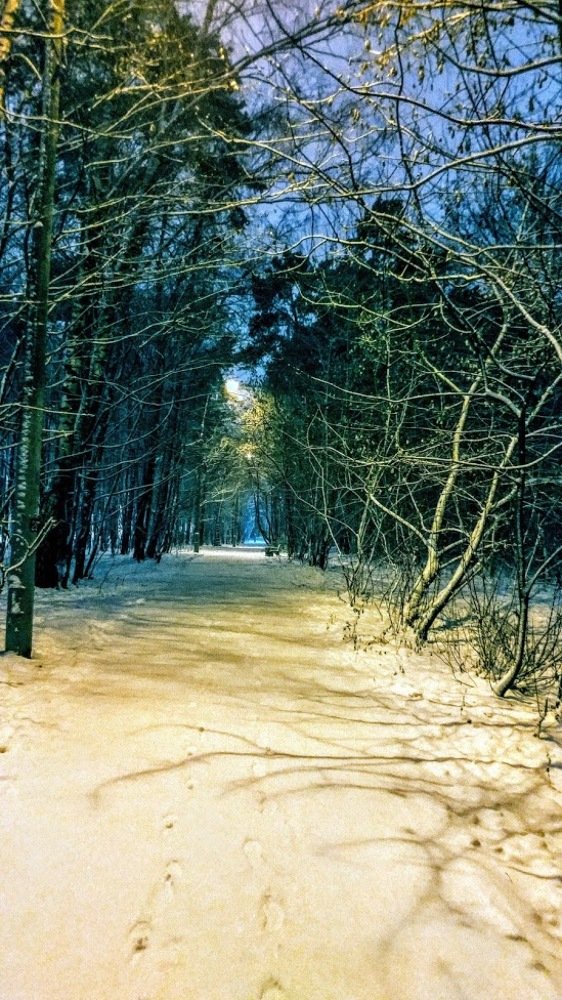 Photograph by Александр Ткаченко