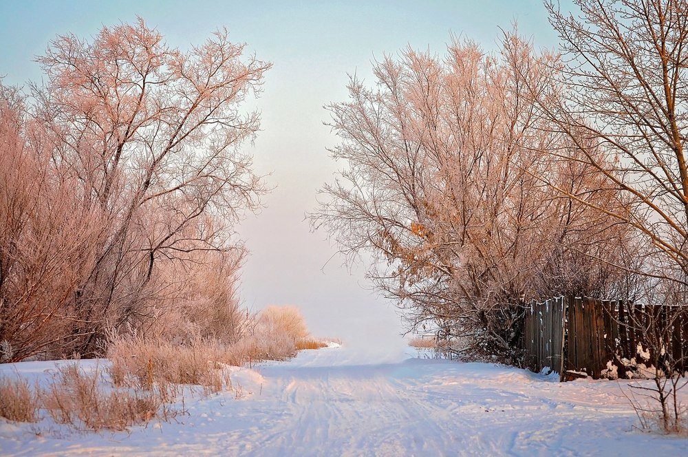 Photograph by Фёдорова Наталья