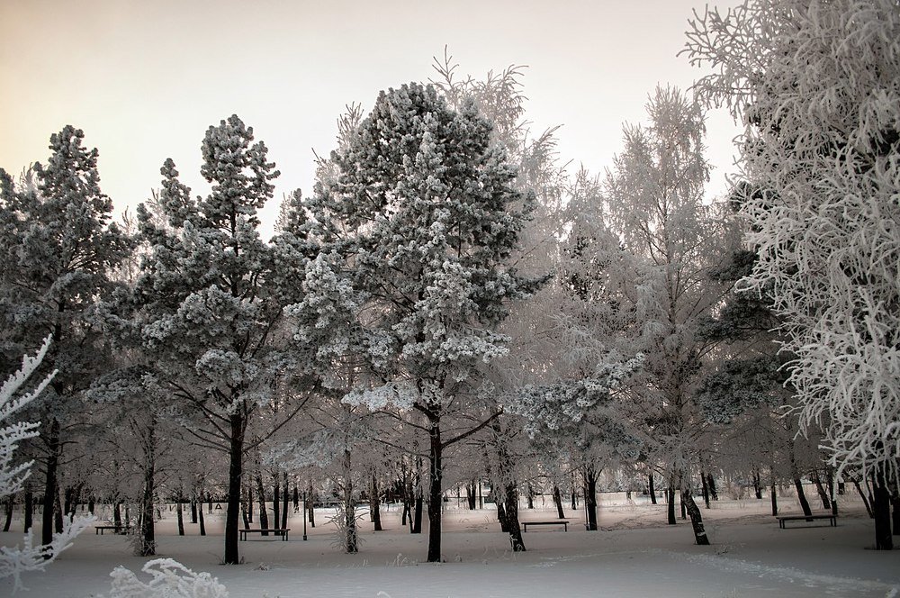 Photograph by Фёдорова Наталья