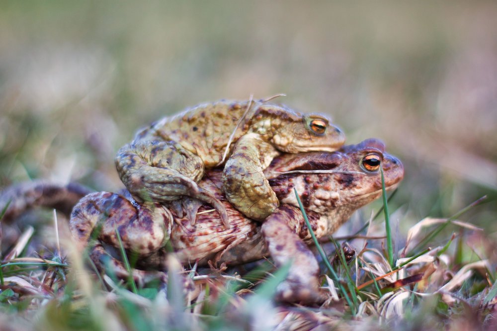 Photograph by Darius L.