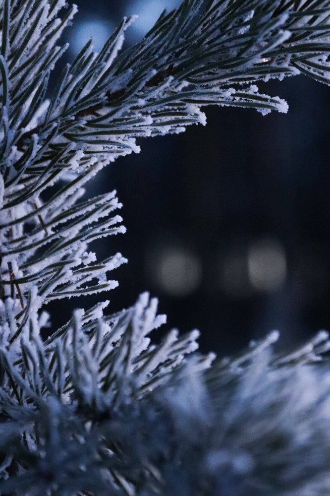 Photograph by Виктория Семенюта