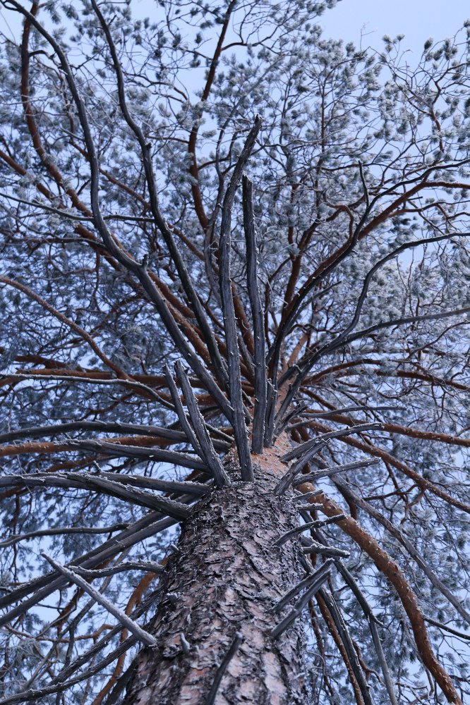 Photograph by Виктория Семенюта