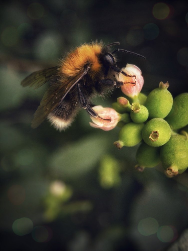 Photograph by Людмила Коныгина