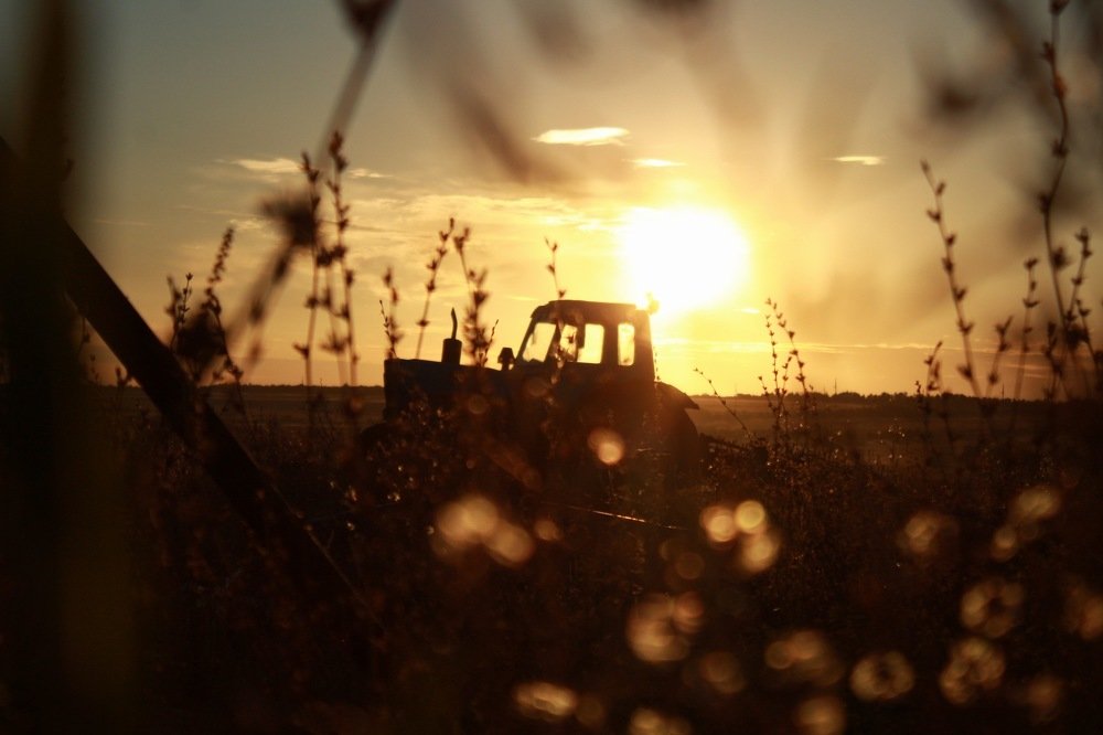 Photograph by Адель Магаева