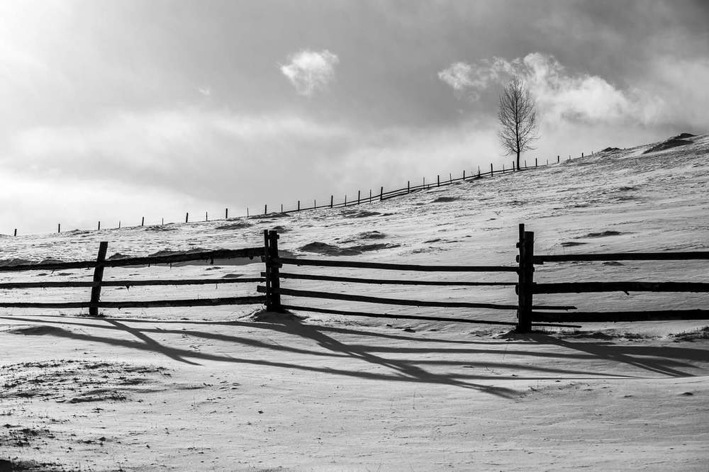 Фотография автора Raul Gruics