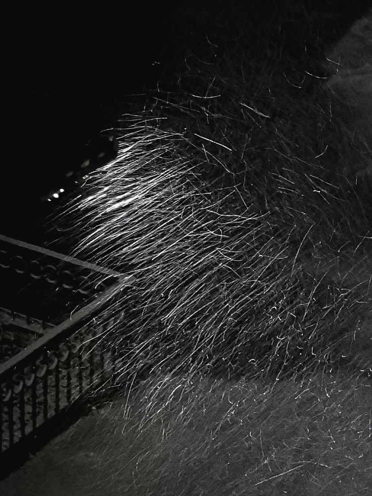 Photograph by Наталия Питолина