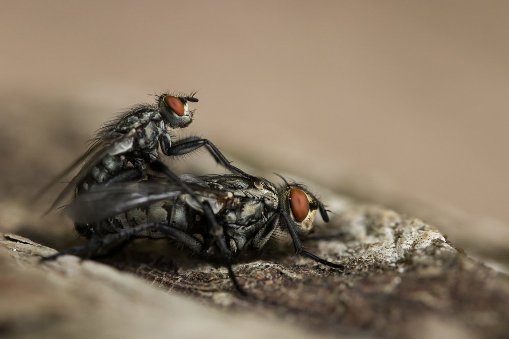 Photograph by Наталья Гайдукевич