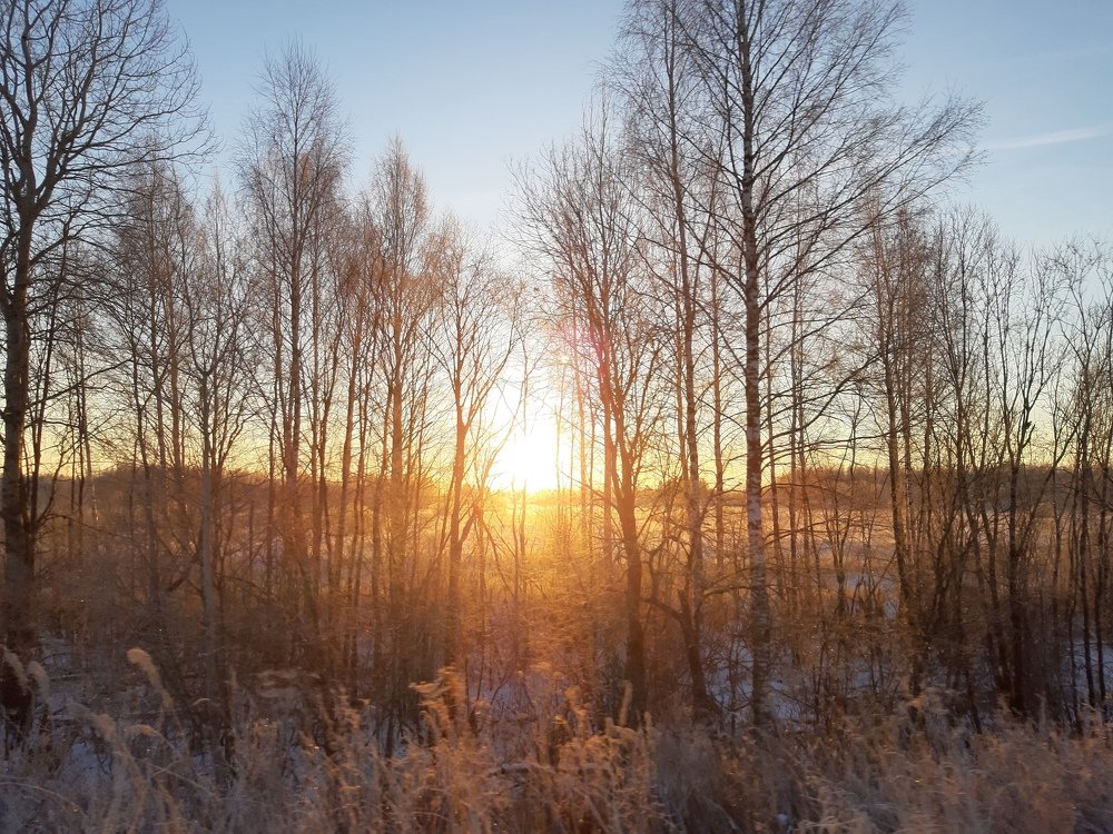 Photo #5386981