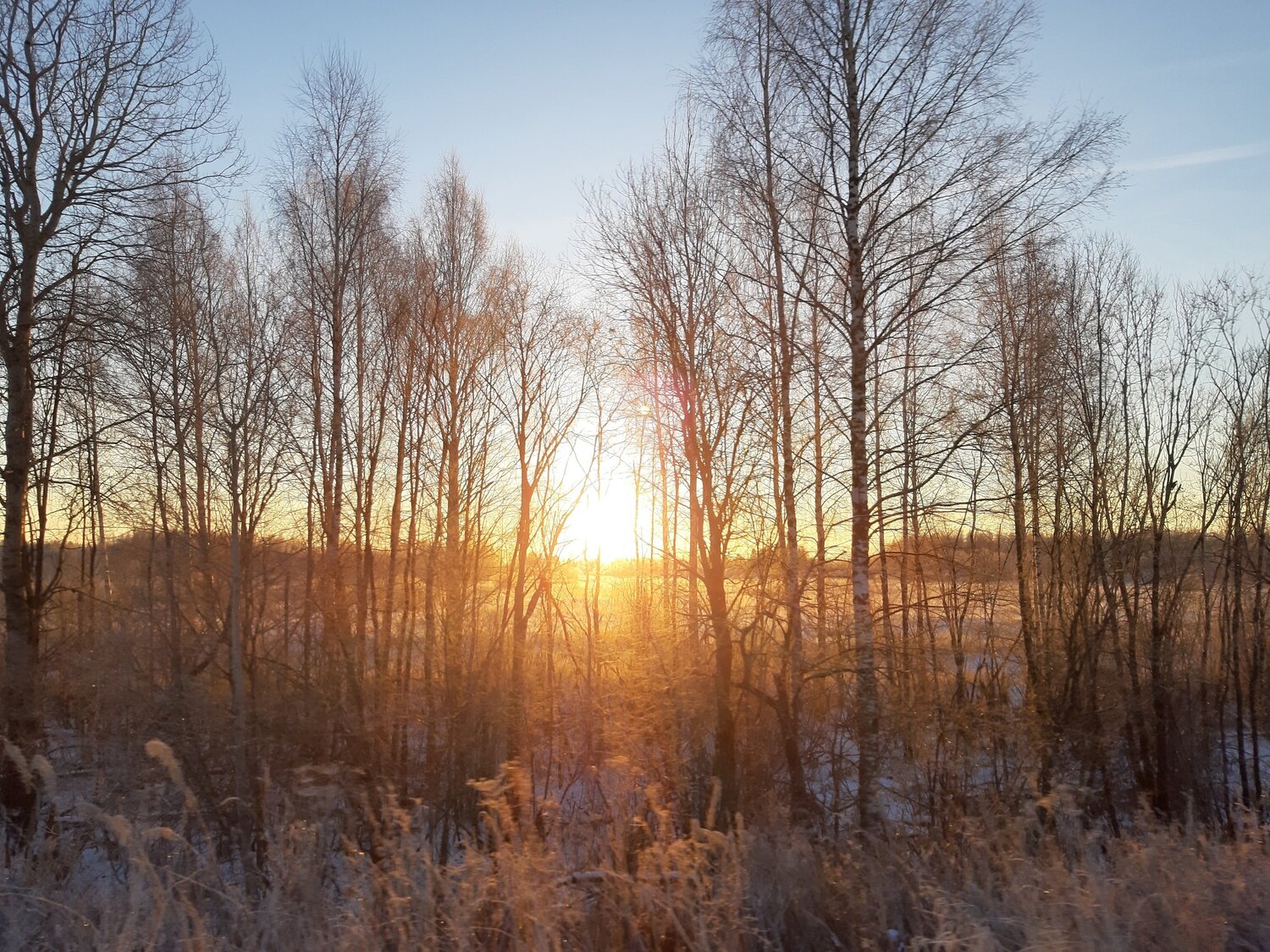 Photo #5386981