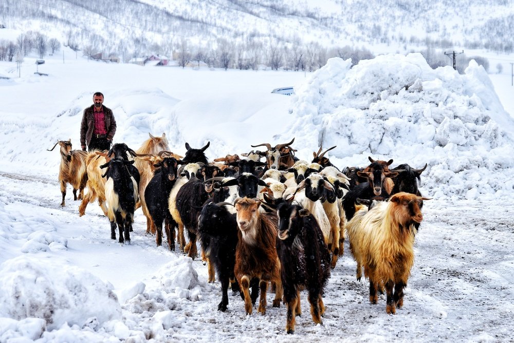 Photograph by Timur Türkmen