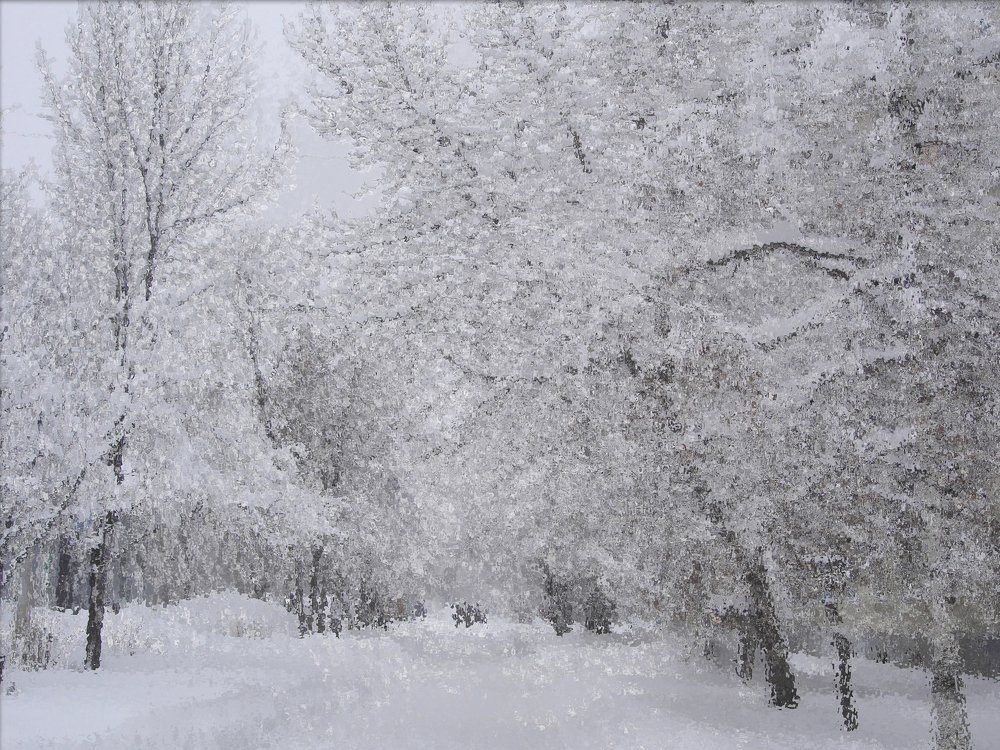 Photograph by Виктор Егоров