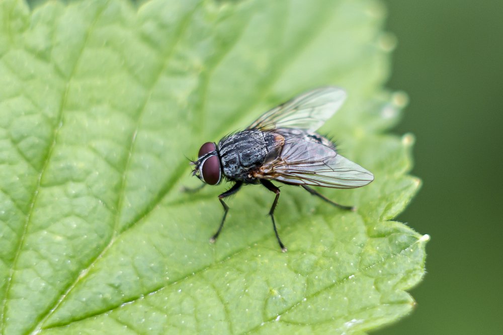 Photograph by Дмитрий Портных