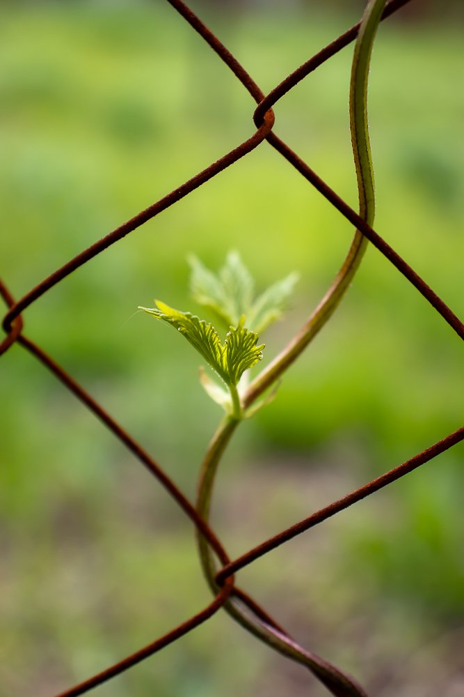 Photograph by Виктория Козинец