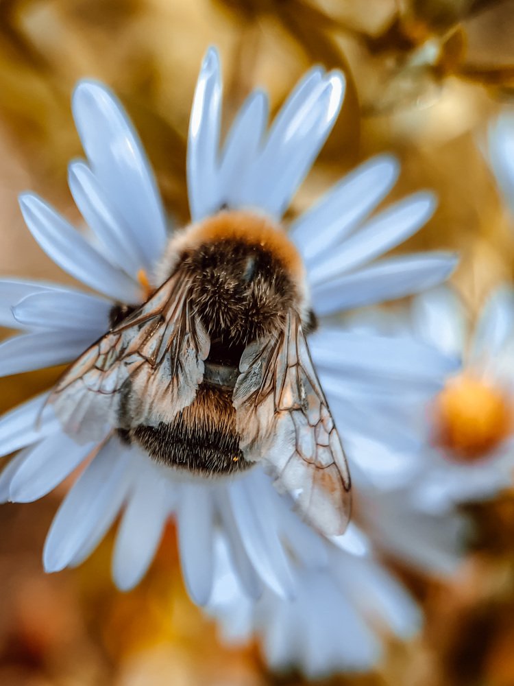 Photograph by Татьяна Левашова