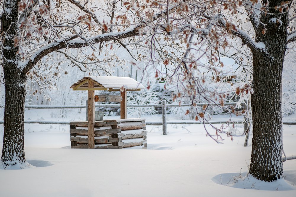 Photograph by Ринат Ямалиев