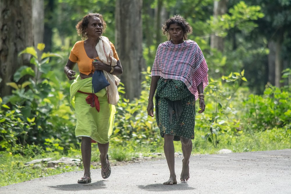 Photograph by NITHIN KUMAR KAVILPUTHANVEETTIL