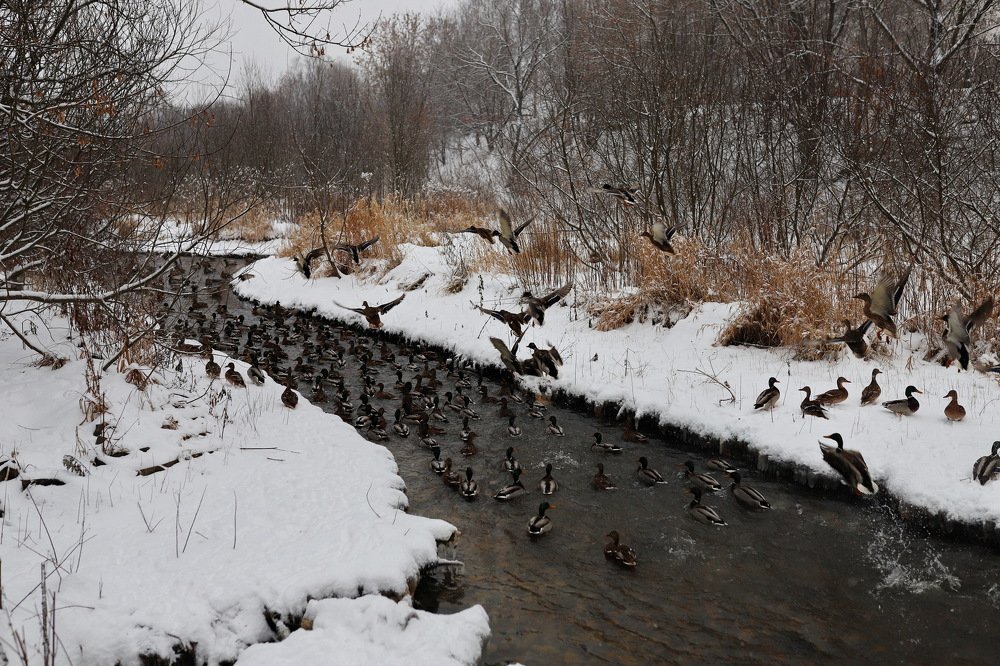 Photograph by Константин Лагоденко