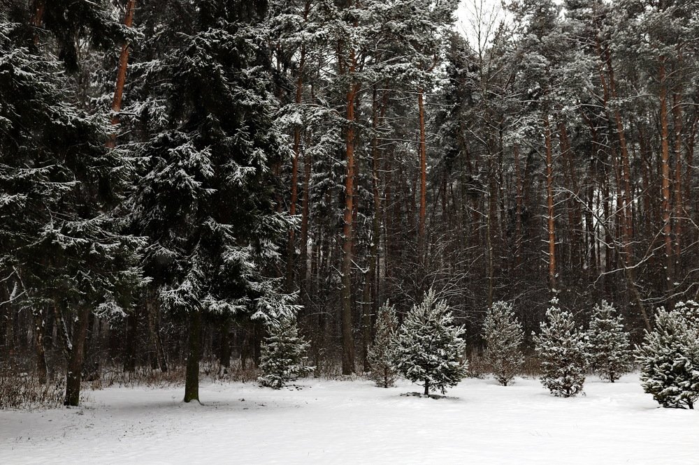 Photograph by Константин Лагоденко