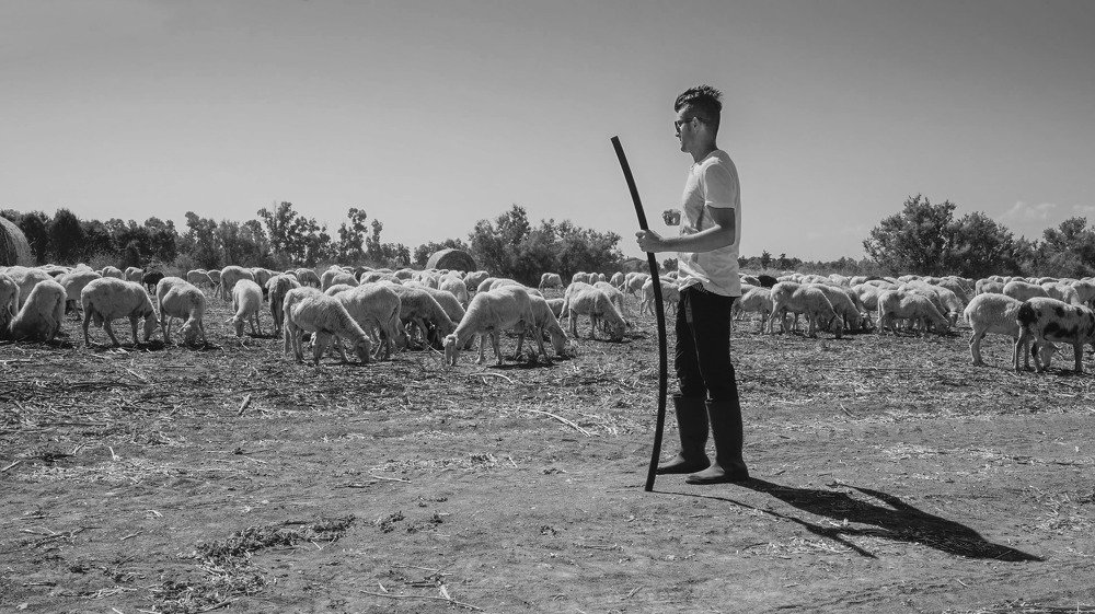 Photograph by Massimo Onnis