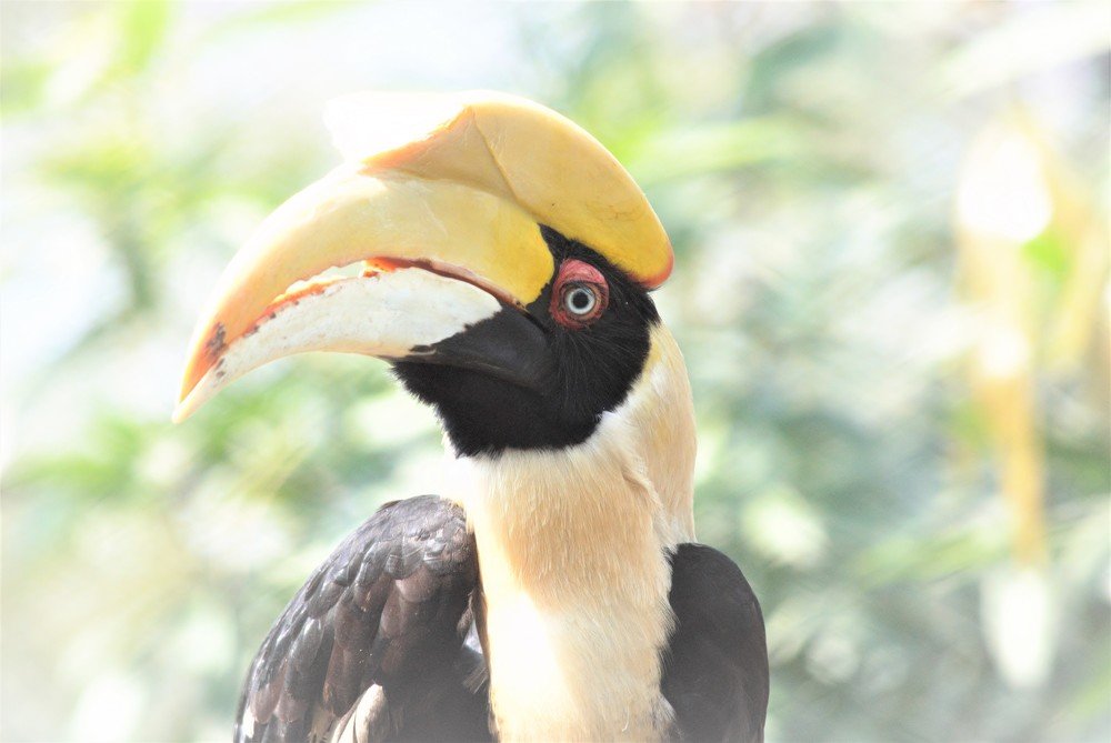 Photograph by NITHIN KUMAR KAVILPUTHANVEETTIL