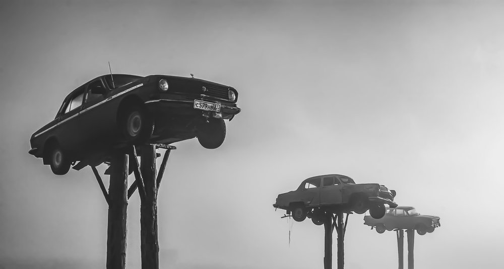 Photograph by Алексей Степаненко