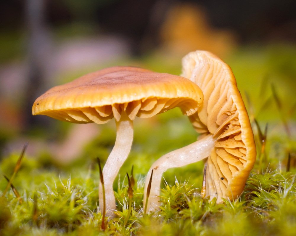 Photograph by Ави Христова