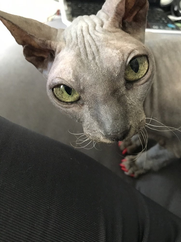 Photograph by Мария Берёзка