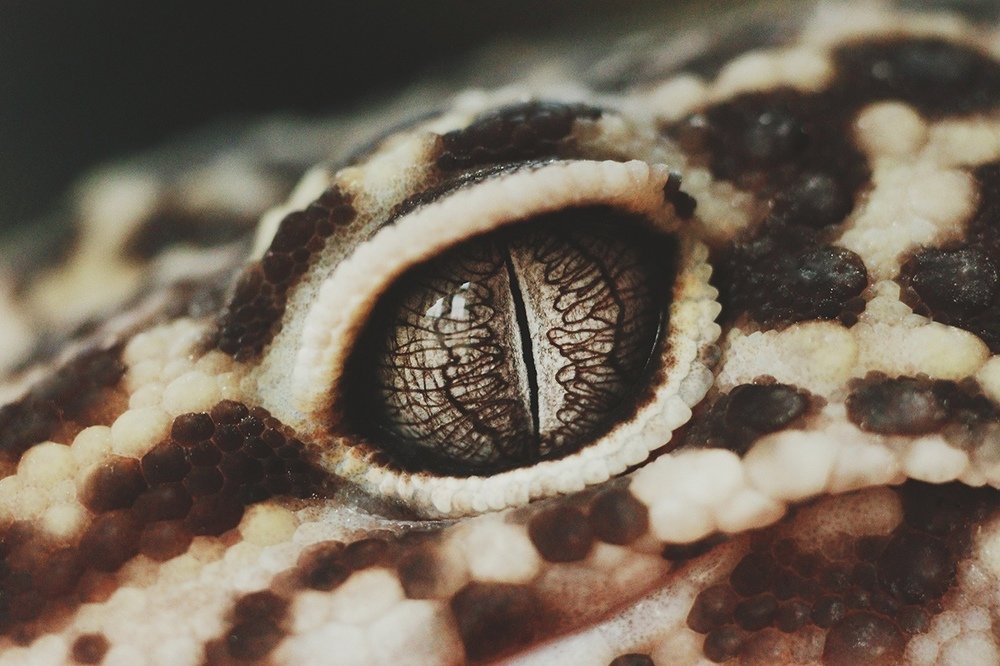 Photograph by Фролова Евгения