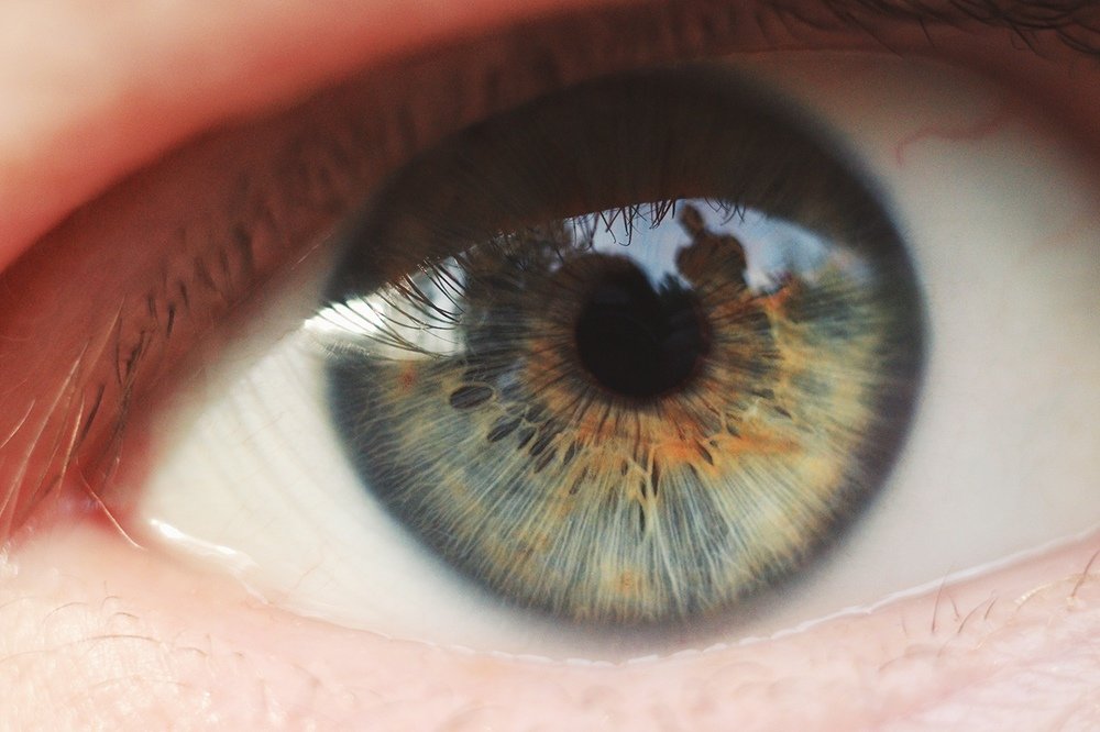 Photograph by Фролова Евгения