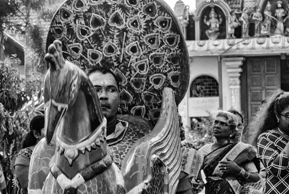 Фотография автора saranjan pakkiyarajah