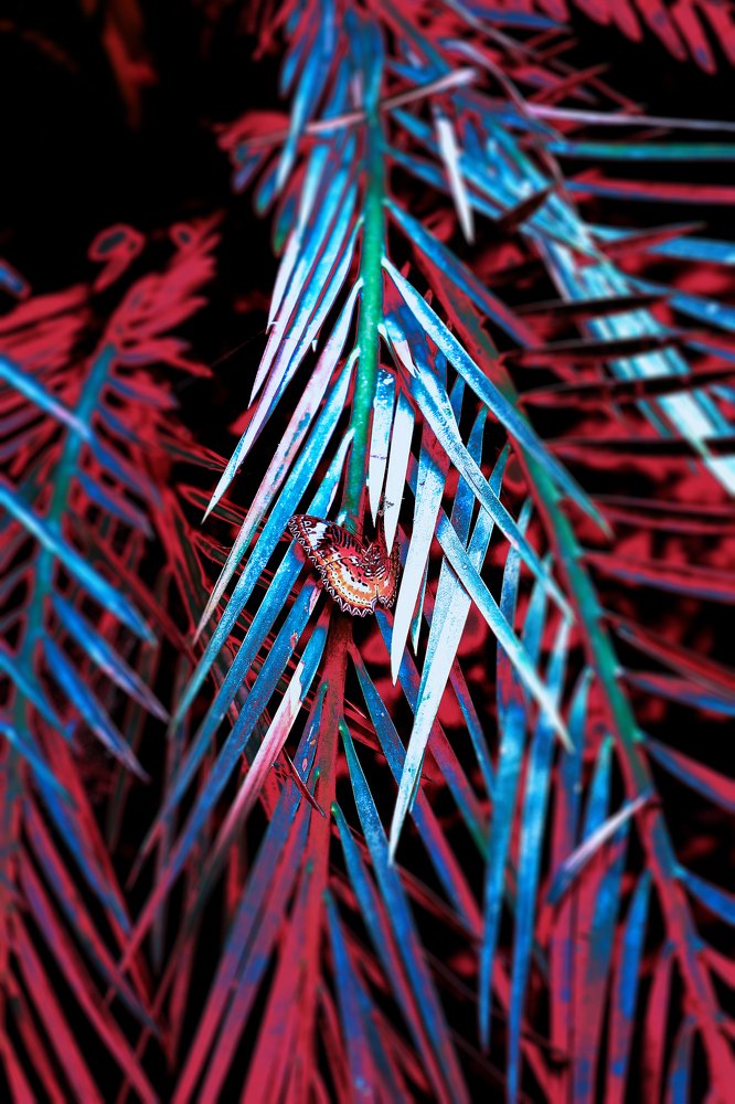 Фотография автора Evgeny Gorbunov