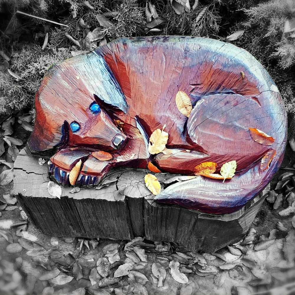 Photograph by Николай Ковальчук