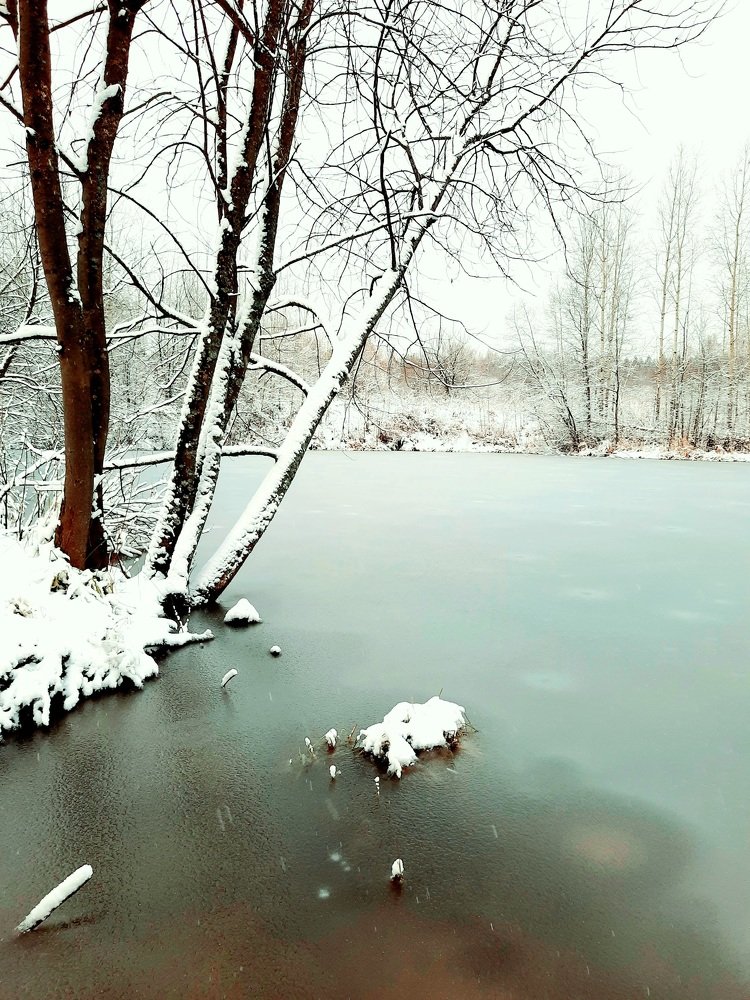 Photograph by Наталья Борюшкина