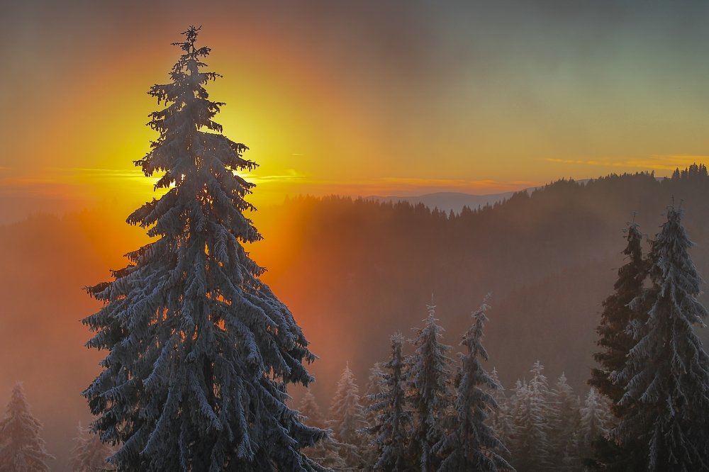 December sunset in the Ciuc mountains 2