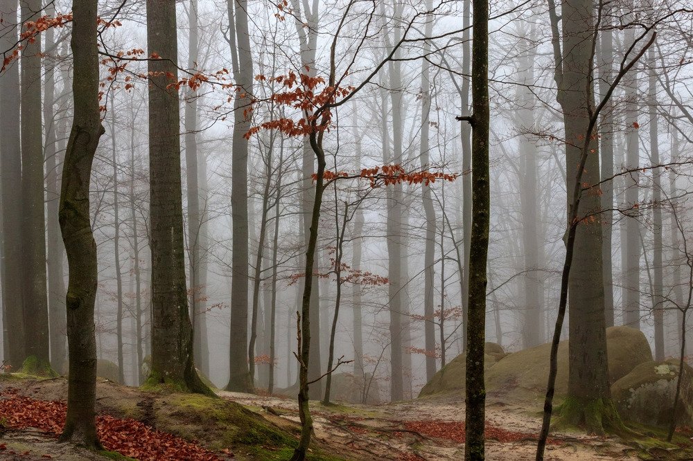 Photograph by SIARHEI RABCHONAK