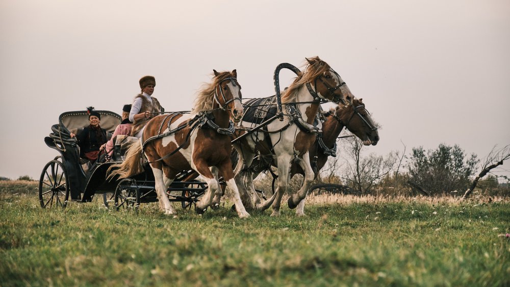 Photograph by Станислав Аникин