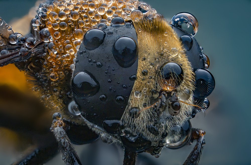 Photograph by Иван Радьков