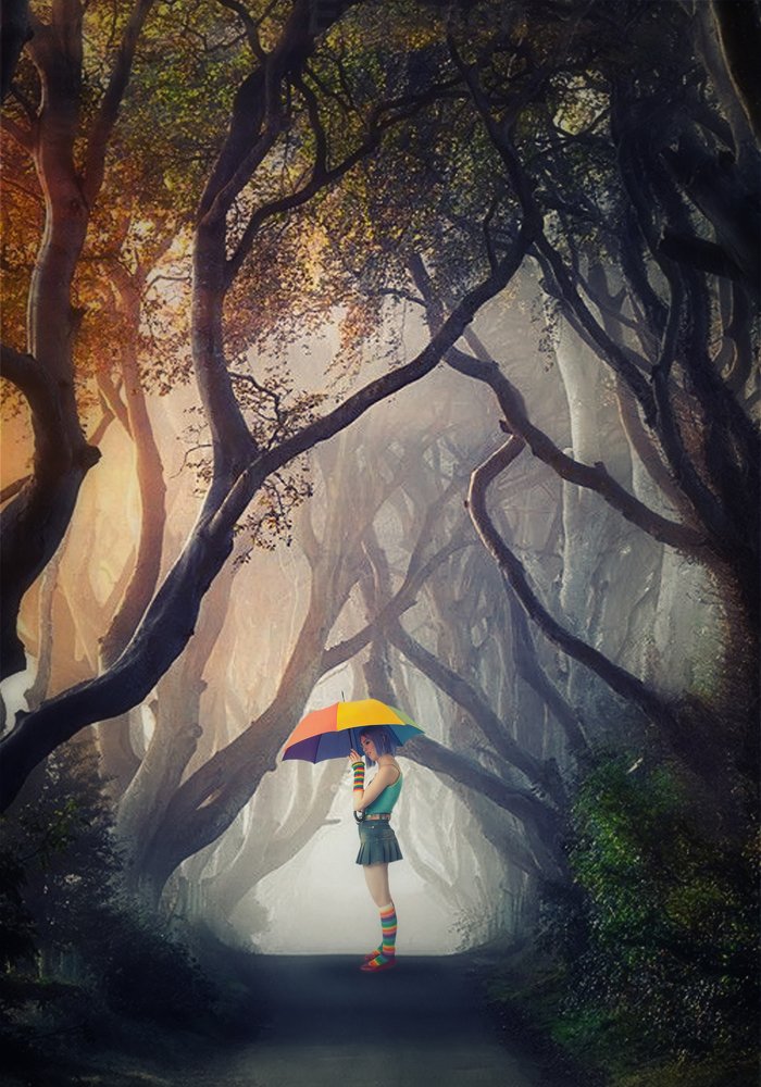 Фотография автора Sergii Vidov