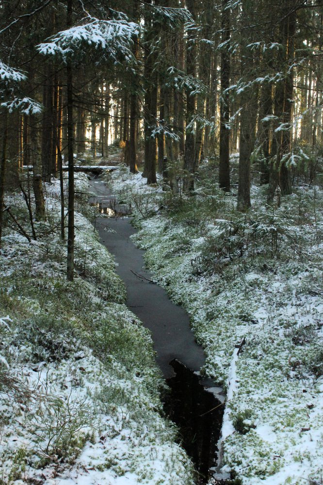 Photograph by Алина Безбородова