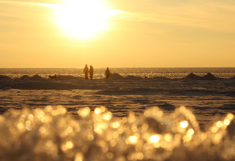 Photograph by Алина Безбородова
