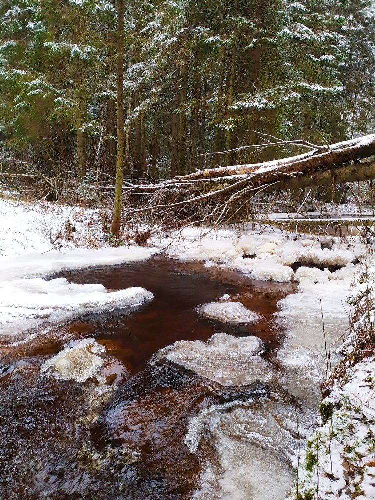 Photograph by Елена Павлова