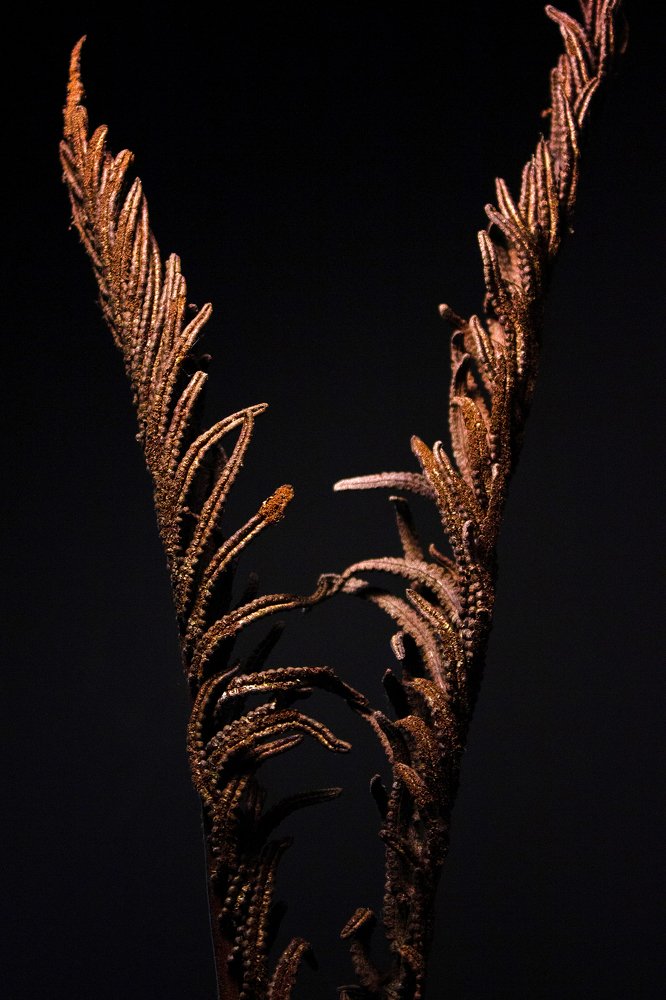 Photograph by Алла Абдрахманова