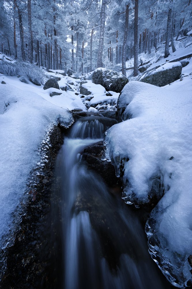 Photograph by Prince